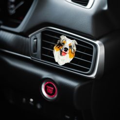 Drive & Display Pet Mount